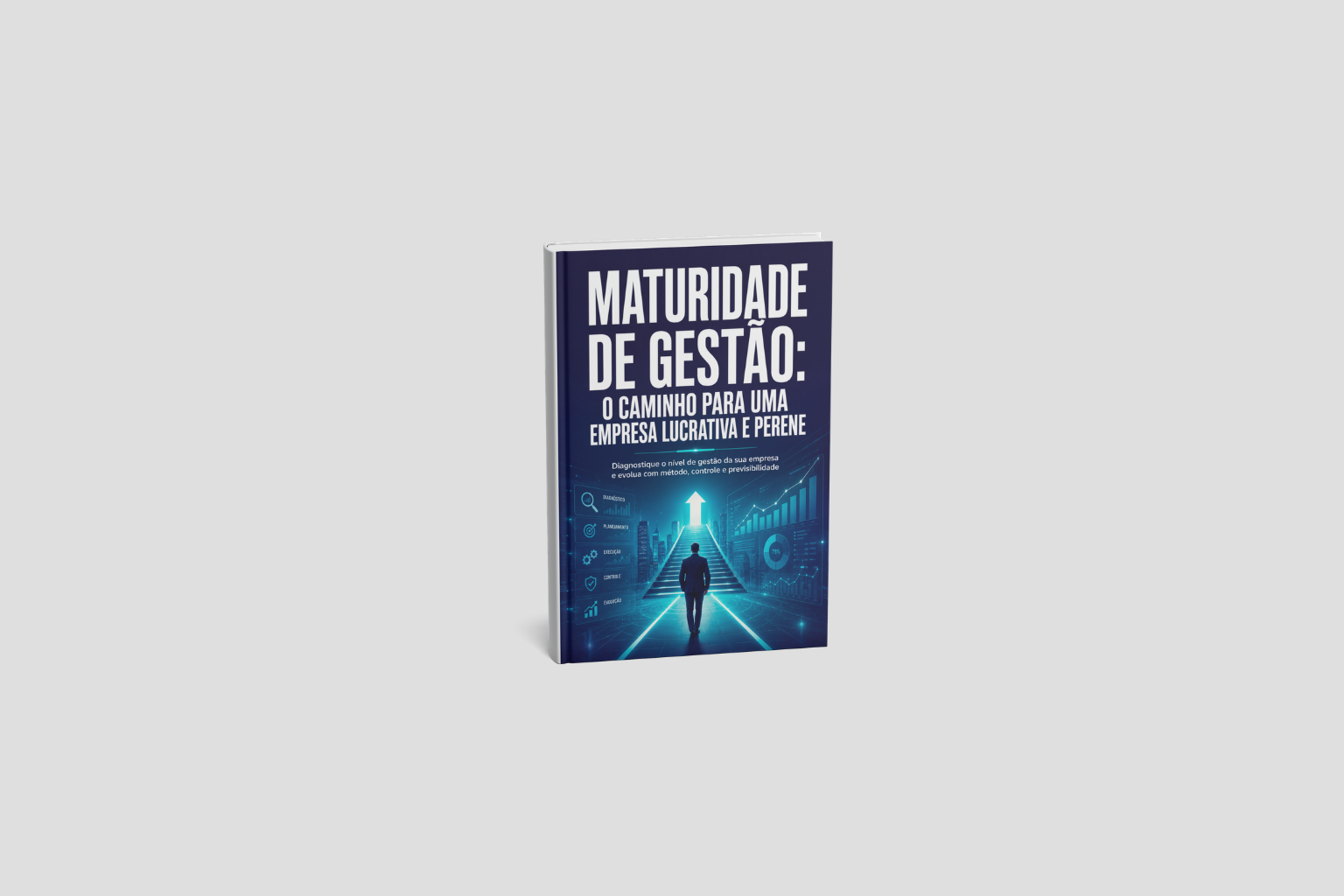 Maturidade de Gestão: O Caminho para uma Empresa Lucrativa e Perene